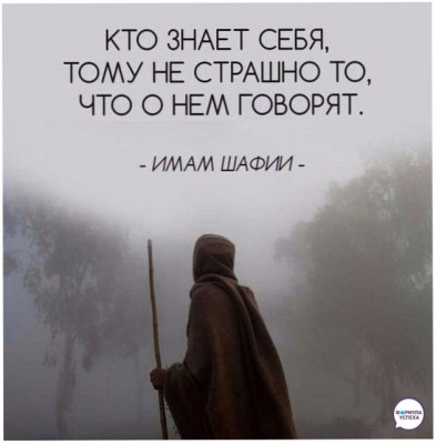 wp_V790CwgY.jpg