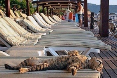 Для кого-то карантин, а для кого-то отдых..jpg