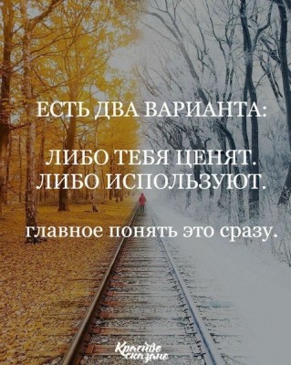 z6npPPXKDl4.jpg