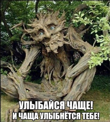 Nq8yHq3W5io.jpg