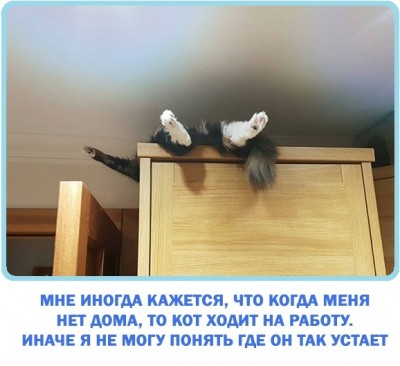WtRu1KD1f_M.jpg
