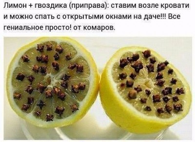 лайфак.jpg