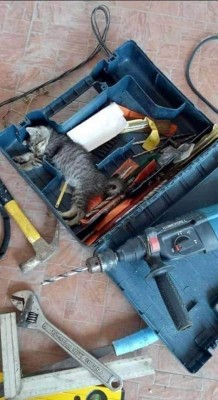 то подскажет, как называется этот инструмент.jpg