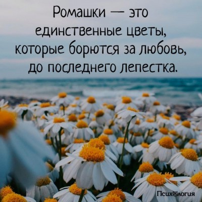 59IkgGe9Br4.jpg
