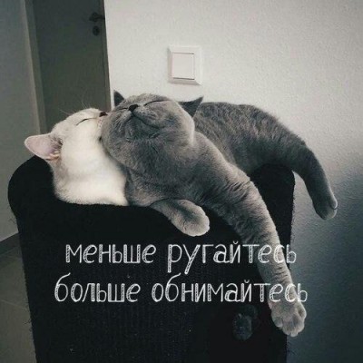 7SLcT48721c.jpg