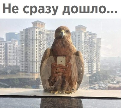 2eONsZgr_zI.jpg