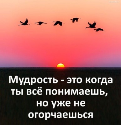 7cf54014ea1f327d01c9caa5e70f2e73.jpg