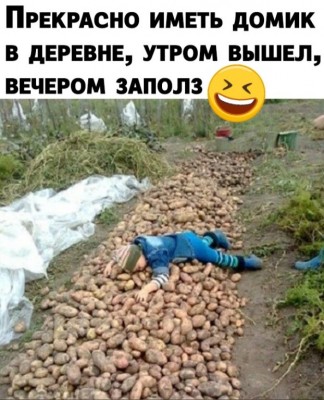Аналогично можно сказать и про дачу..jpg