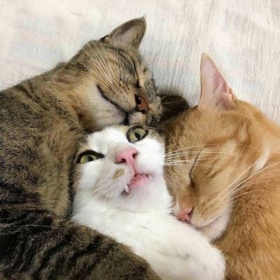 kPWYoB4HC9I.jpg