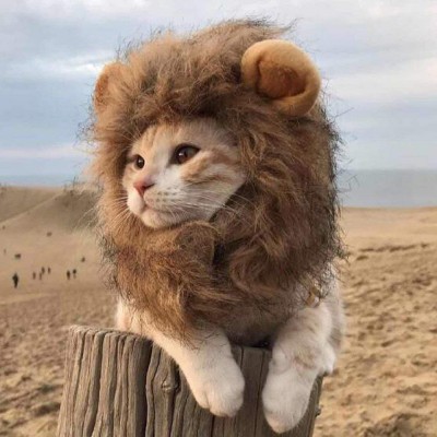 Funny-Clothes-For-Cats-Lion-Mane-Cat-Costume-Lion-Hair-Wig-Cap-Dog-Costumes-for-Small.jpg