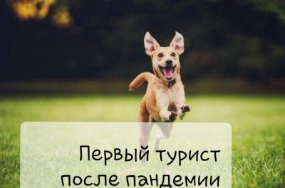 122454692_2914129512156184_2165584636520381352_n.jpg