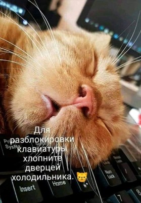 122450204_853166302095541_6390644013554601087_o.jpg