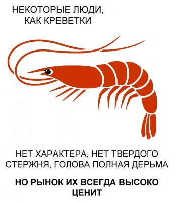 uOfgaTSJqEU.jpg
