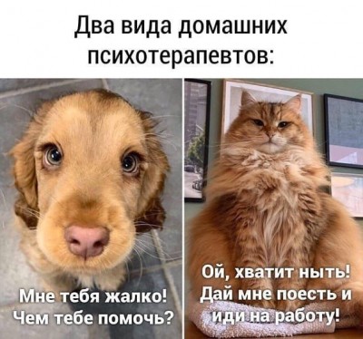 125183808_3447952661918584_102169790682911536_n.jpg