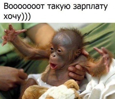 q1rlDy1DGkc.jpg