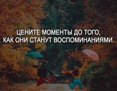 12365478.png