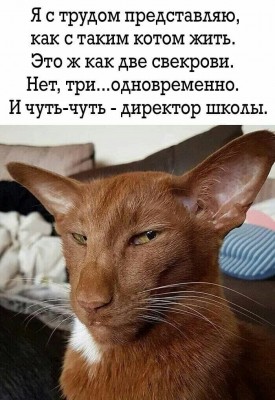 127629258_427766154914951_6929146199133590409_o.jpg