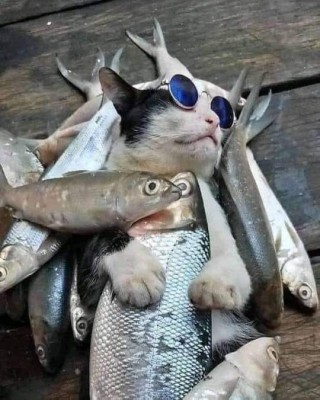 Кайфуем, сегодня мы с тобой кайфуем..jpg