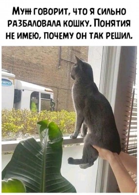 FB_IMG_16038300081681983.jpg