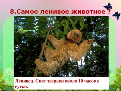 img_phpMaeuHv_Intellektualnaya-igra-Eti-zabavnye-zhivotnye--dlya-uchacshihsya-2-klassa---Smirnova-atalya_1_29.jpg