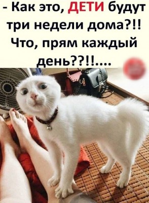 130740409_194264885738487_2994699595586387509_n.jpg