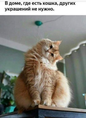 Новое.jpg