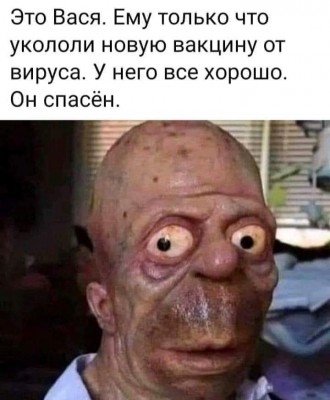 processed.jpeg