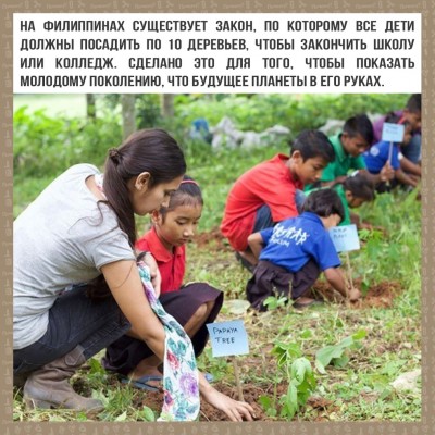 Интересный факт.jpg