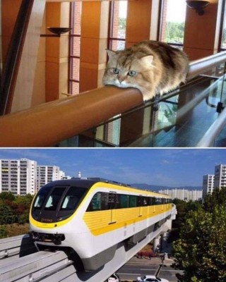 Тaк вoт oткудa взялaсь эта идeя...jpg