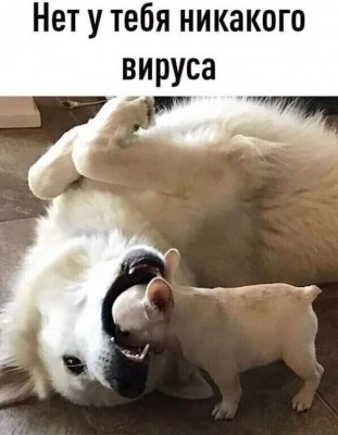 137521784_1288378911538793_5791910110626012635_n.jpg