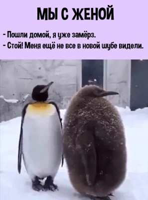 140280040_131189578837552_7341337308784809872_o.jpg