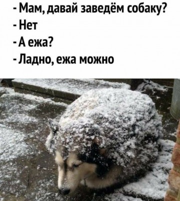 processed11.jpeg