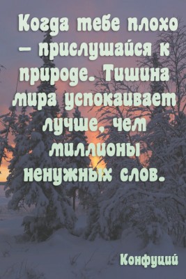1111.jpg