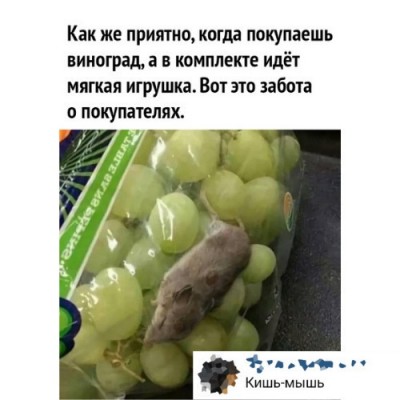 8tZxnhJizRA.jpg
