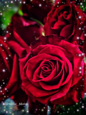 Image_1614114757377.png