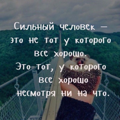 h-281195.jpg