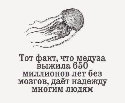 146680571_471727580654320_821249922776069800_n.jpg