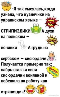 156409083_482965259530552_5595024280031670099_n.jpg