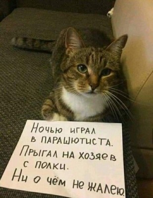FB_IMG_1612158334152.jpg