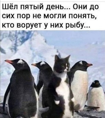jtkDuKxelIk.jpg