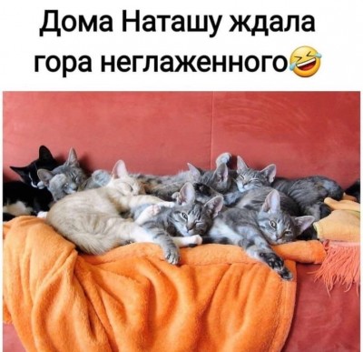KXyM79zQxKg.jpg