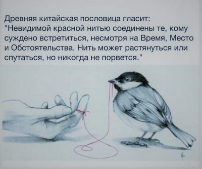 FB_IMG_1616618802528.jpg