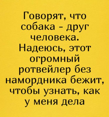 163550937_436600420898489_33094913855637553_n.jpg