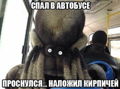 Oylxtq6WTpY.jpg