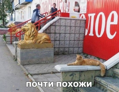 PKRqLrC6lpo.jpg