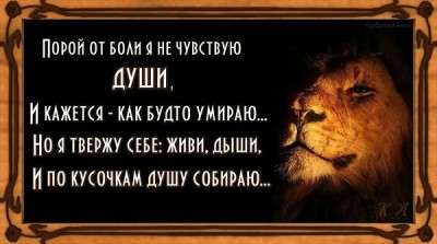 2525033942.jpg