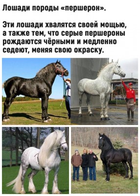 OnG0De3Sbmc.jpg