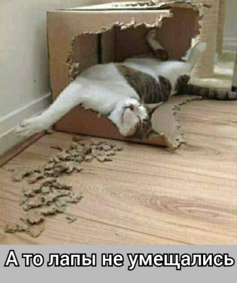 lKTY_gGyHcE.jpg