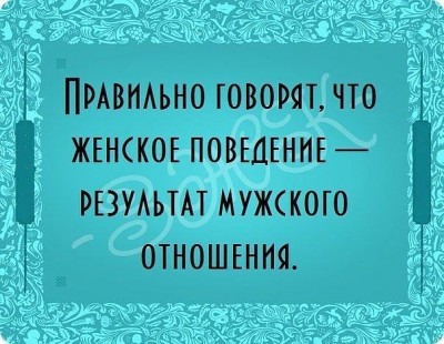 2466506343.jpg