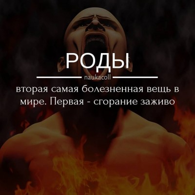312def8a134f2579eb4c28bc537d8672.jpg
